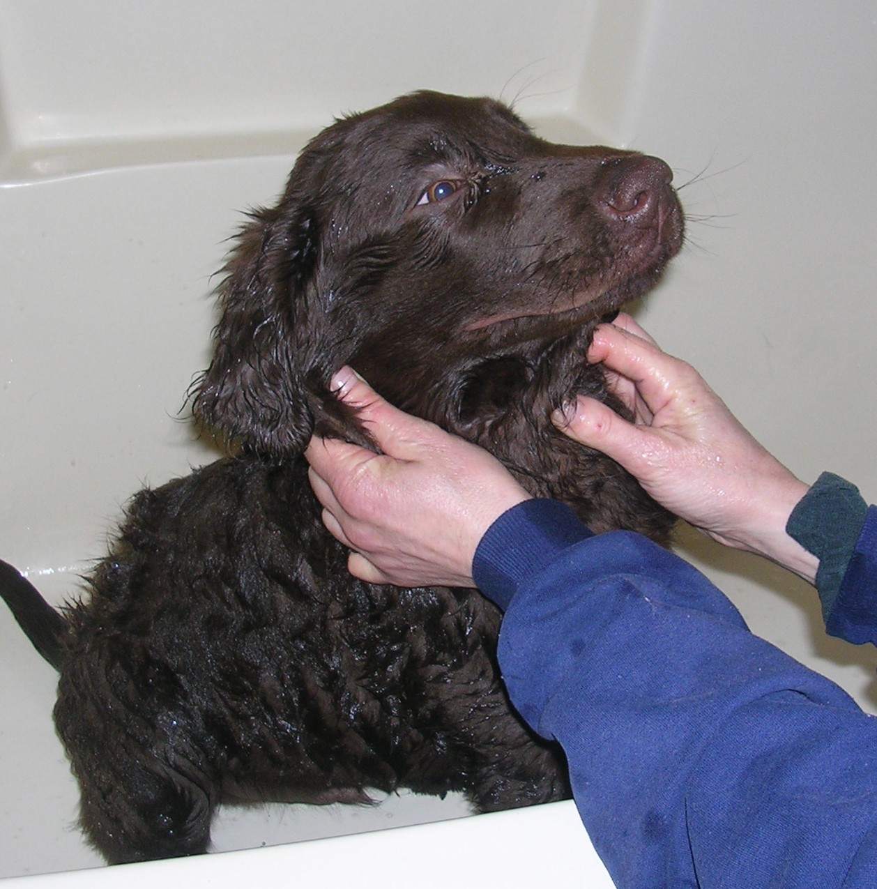 Vince takes a bath