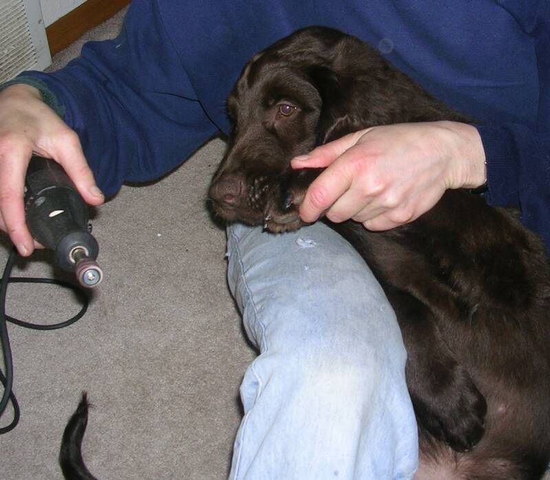 Vince getting nails done